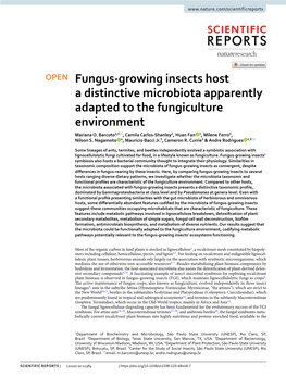 Fungus-Growing Insects Host a Distinctive Microbiota Apparently