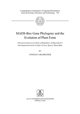 MADS-Box Gene Phylogeny and the Evolution of Plant Form