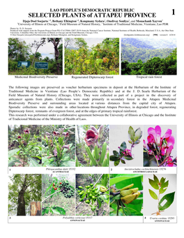 SELECTED PLANTS of ATTAPEU PROVINCE