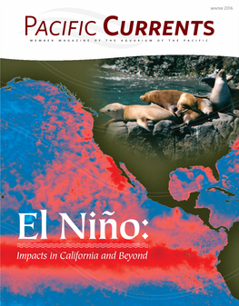 Impacts in California and Beyond Focus on Sustainability