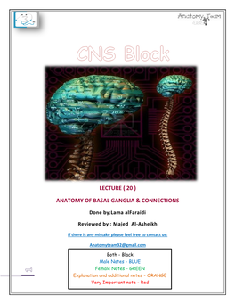 Anatomy of Basal Ganglia & Connections