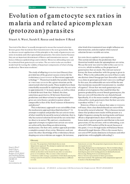 Evolution of Gametocyte Sex Ratios in Malaria and Related Apicomplexan (Protozoan) Parasites