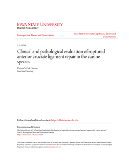 Clinical and Pathological Evaluation of Ruptured Anterior Cruciate Ligament Repair in the Canine Species Dennis M