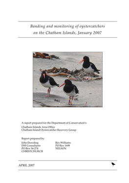 Banding and Monitoring of Oystercatchers on the Chatham Islands, January 2007