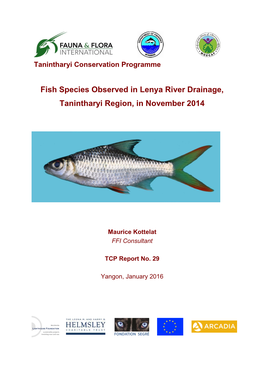 Fish Species Observed in Lenya River Drainage, Tanintharyi Region, in November 2014