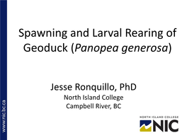 Spawning and Larval Rearing of Geoduck (Panopea Generosa)