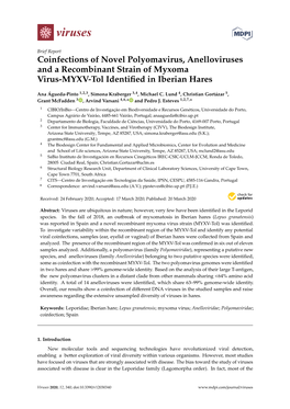 Coinfections of Novel Polyomavirus, Anelloviruses and a Recombinant Strain of Myxoma Virus-MYXV-Tol Identiﬁed in Iberian Hares