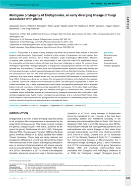 AR TICLE Multigene Phylogeny of Endogonales, an Early Diverging Lineage of Fungi Associated with Plants