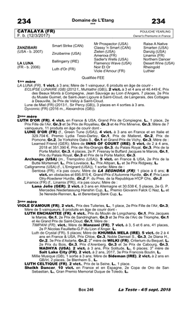 Tattersalls Catalogue Page