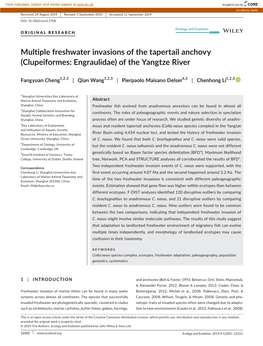 Multiple Freshwater Invasions of the Tapertail Anchovy (Clupeiformes: Engraulidae) of the Yangtze River