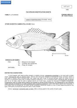 LUT Lut 1 1983 FAO SPECIES IDENTIFICATION SHEETS FAMILY: LUTJANIDAE FISHING AREA 51 (W. Indian Ocean) Lutjanus Argentimaculatus