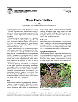 Mango Powdery Mildew