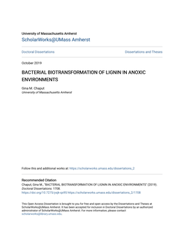 Bacterial Biotransformation of Lignin in Anoxic Environments