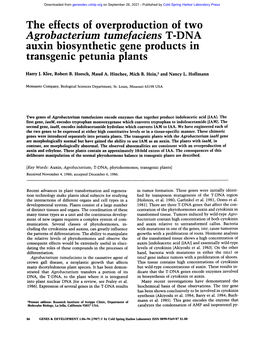 Agrobacterium Tumefaciens T-DNA Auxin Biosynthetic Gene Products in Transgen C Petunia Plants