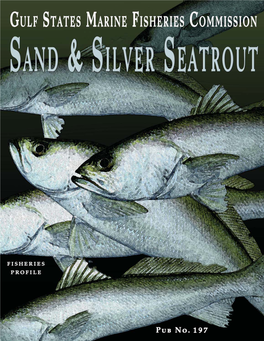 Sand and Silver Seatrout Fisheries Profile