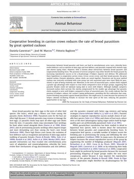 Cooperative Breeding in Carrion Crows Reduces the Rate of Brood Parasitism by Great Spotted Cuckoos