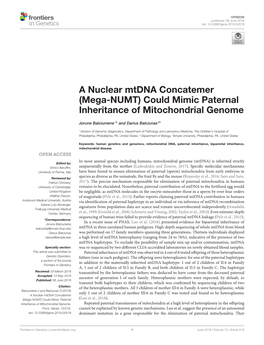 A Nuclear Mtdna Concatemer (Mega-NUMT) Could Mimic Paternal Inheritance of Mitochondrial Genome