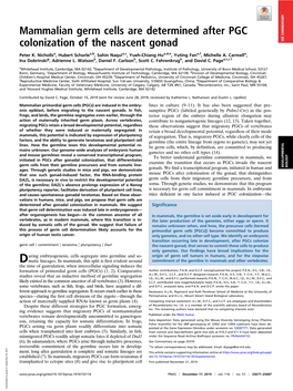 Mammalian Germ Cells Are Determined After PGC Colonization of the Nascent Gonad SEE COMMENTARY