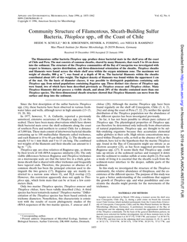 Community Structure of Filamentous, Sheath-Building Sulfur Bacteria, Thioploca Spp., Off the Coast of Chile