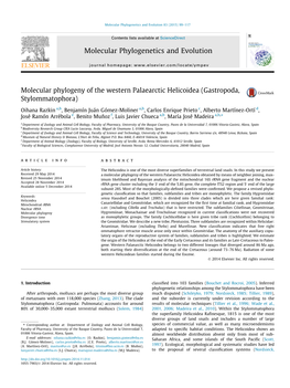 Molecular Phylogeny of the Western Palaearctic Helicoidea (Gastropoda, Stylommatophora)