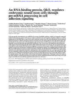 An RNA-Binding Protein, Qki5, Regulates Embryonic Neural Stem Cells Through Pre-Mrna Processing in Cell Adhesion Signaling