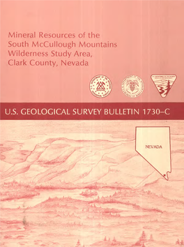 Mineral Resources of the South Mccullough Mountains Wilderness Study Area, Clark County, Nevada