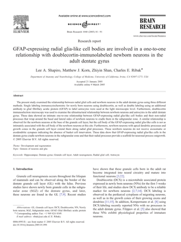 GFAP-Expressing Radial Glia-Like Cell Bodies Are Involved in a One-To-One Relationship with Doublecortin-Immunolabeled Newborn Neurons in the Adult Dentate Gyrus