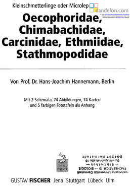 Oecophoridae, Chimabachidae, Carcinidae, Ethmiidae, Stathmopodidae