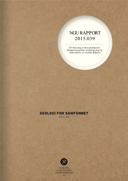 NGU Rapport (Oppikofer M.Fl