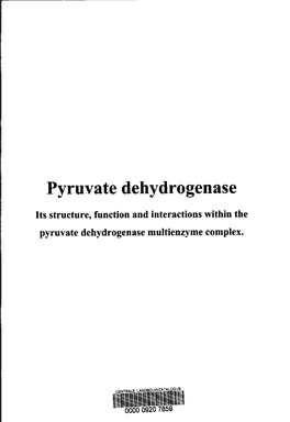 Pyruvate Dehydrogenase