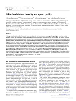 Mitochondria Functionality and Sperm Quality