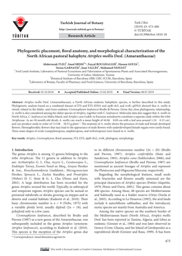 Phylogenetic Placement, Floral Anatomy, and Morphological Characterization of the North African Pastoral Halophyte Atriplex Mollis Desf