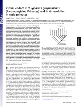 And Brain Evolution in Early Primates