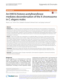 An H4K16 Histone Acetyltransferase Mediates Decondensation of the X Chromosome in C