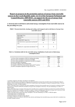 Report on Progress in the Promotion and Use of Energy from Renewable Sources in the Czech Republic Under Art 22 of the European