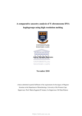 A Comparative Ancestry Analysis of Y-Chromosome DNA Haplogroups Using High Resolution Melting