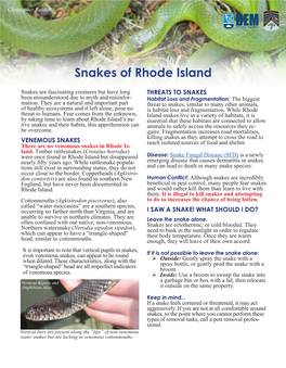 Snakes of Rhode Island