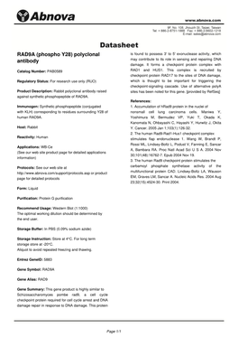 RAD9A (Phospho Y28) Polyclonal Antibody