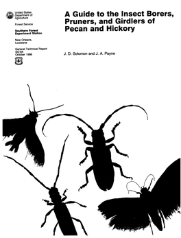 A Guide to the Insect Borers, Pruners, and Girdlers of Pecan and Hickory
