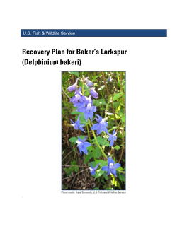Recovery Plan for Baker's Larkspur (Delphinium Bakeri)