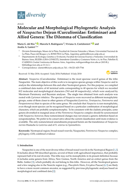 Molecular and Morphological Phylogenetic Analysis of Naupactus Dejean (Curculionidae: Entiminae) and Allied Genera: the Dilemma of Classiﬁcation