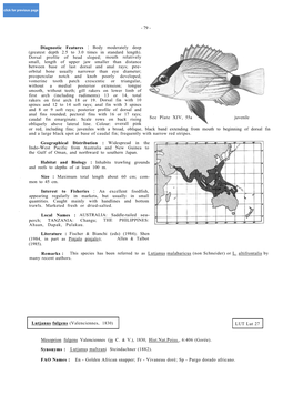 Diagnostic Features : Body Moderately Deep (Greatest Depth 2.5 to 3.0 Times in Standard Length)