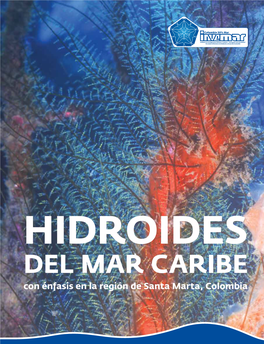 Hidroides Del Mar Caribe, Con Énfasis En La Región De Santa Marta