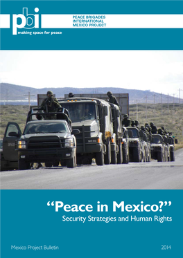 Peace in Mexico? Security and Human Rights Discusses the Tion and a Proliferation of Non-State Armed in the Production of Firearms4