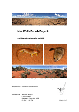 Lake Wells Potash Project