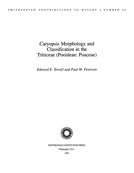 Caryopsis Morphology and Classification in the Triticeae (Pooideae: Poaceae)