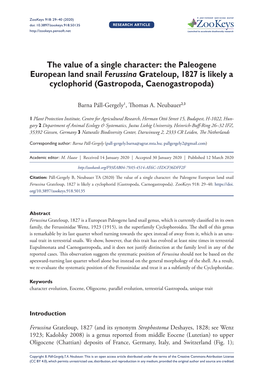 The Value of a Single Character: the Paleogene European Land Snail Ferussina Grateloup, 1827 Is Likely a Cyclophorid (Gastropoda, Caenogastropoda)