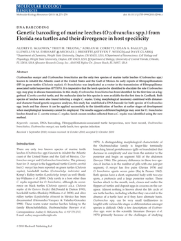 Genetic Barcoding of Marine Leeches (Ozobranchus Spp.) from Florida Sea Turtles and Their Divergence in Host Speciﬁcity