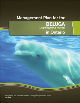 Management Plan for Beluga in Ontario