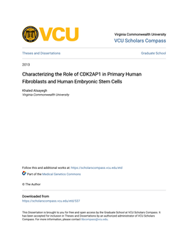 Characterizing the Role of CDK2AP1 in Primary Human Fibroblasts and Human Embryonic Stem Cells